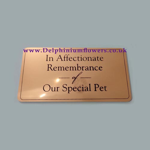 Gold Rectangle Memorial Plaque - SPECIAL PET